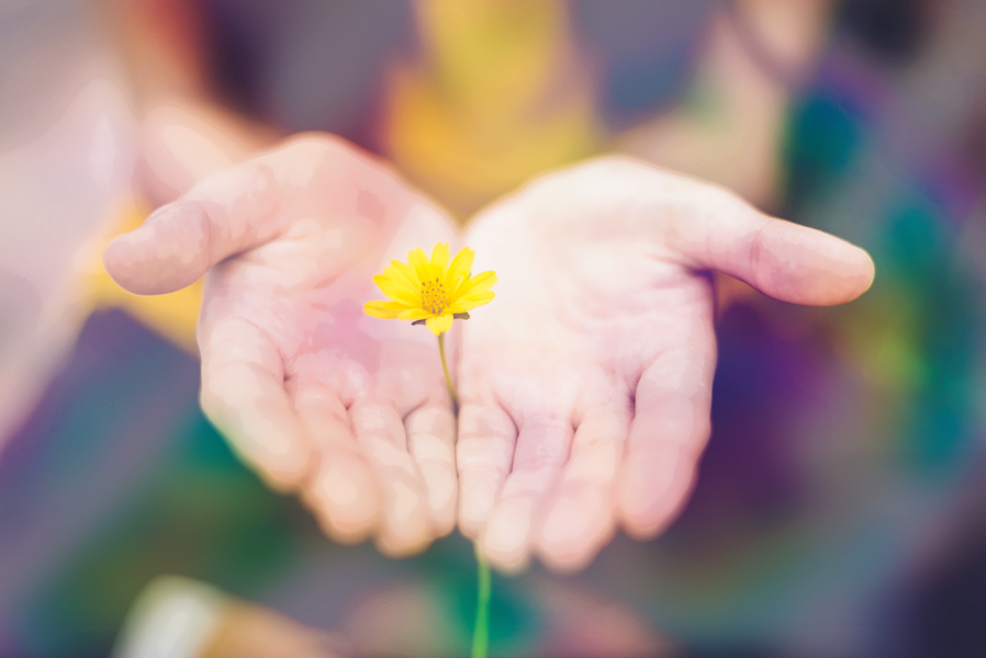 Die Claire&George Stiftung unterstützt Familien mit Kindern mit Behinderungen finanziell für eine Familienauszeit